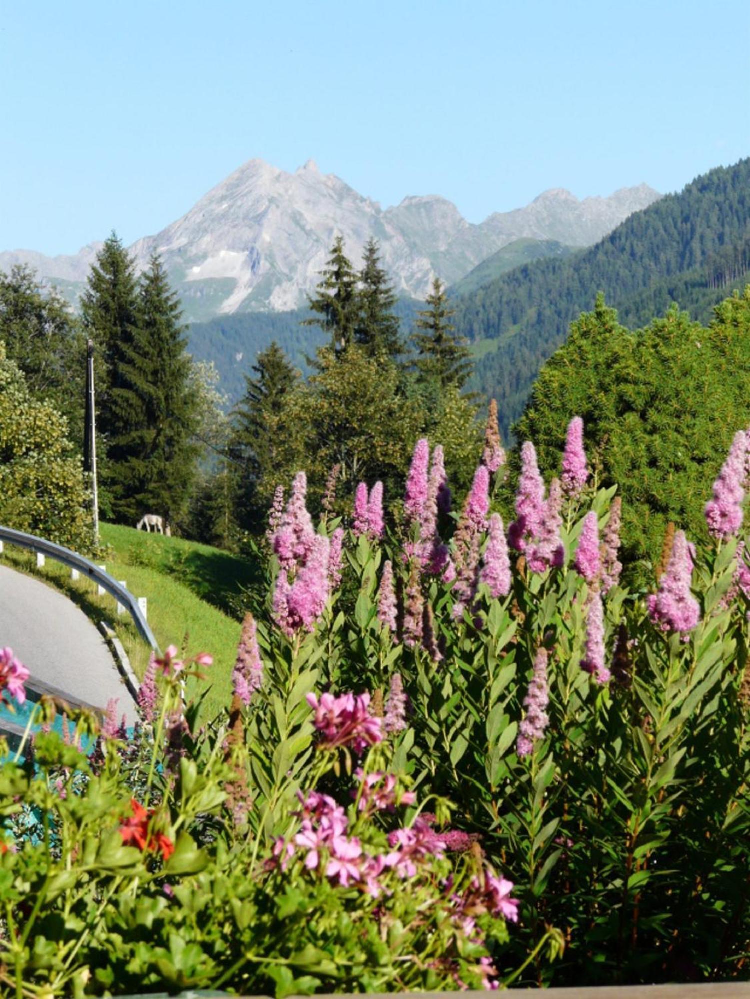 Haus Kammerland Zell am Ziller Esterno foto